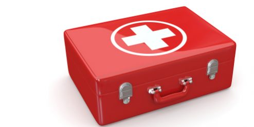 artikel-ehbo-bij-huisdieren-medpets-nl-4-1389879561-264