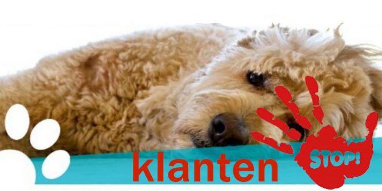 klantenstop-800×377